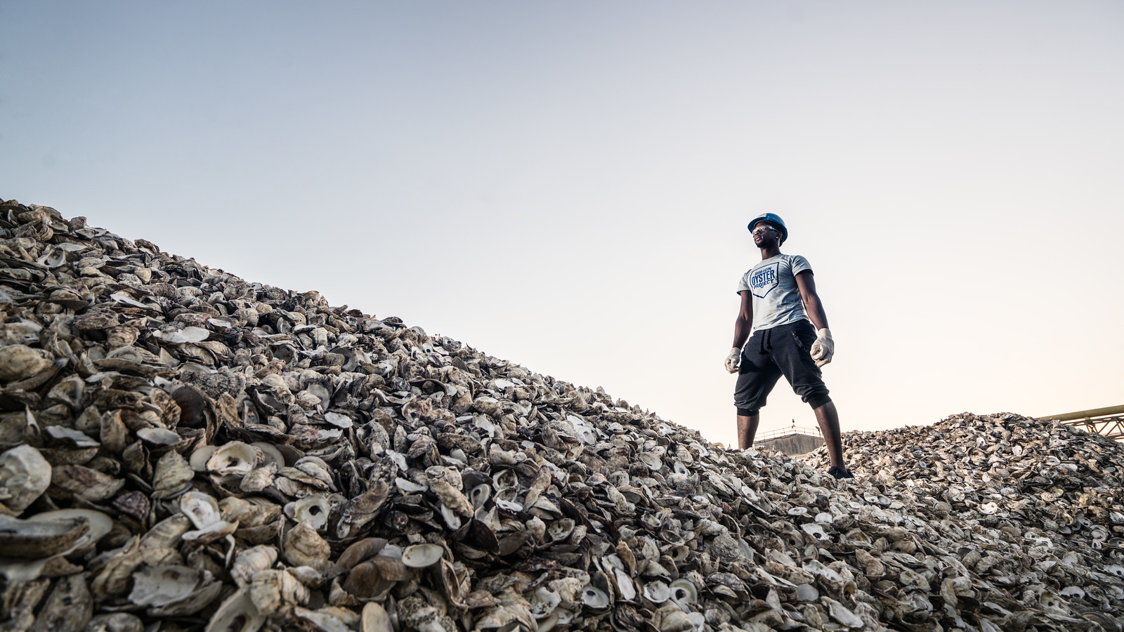 Billion Oyster Project
