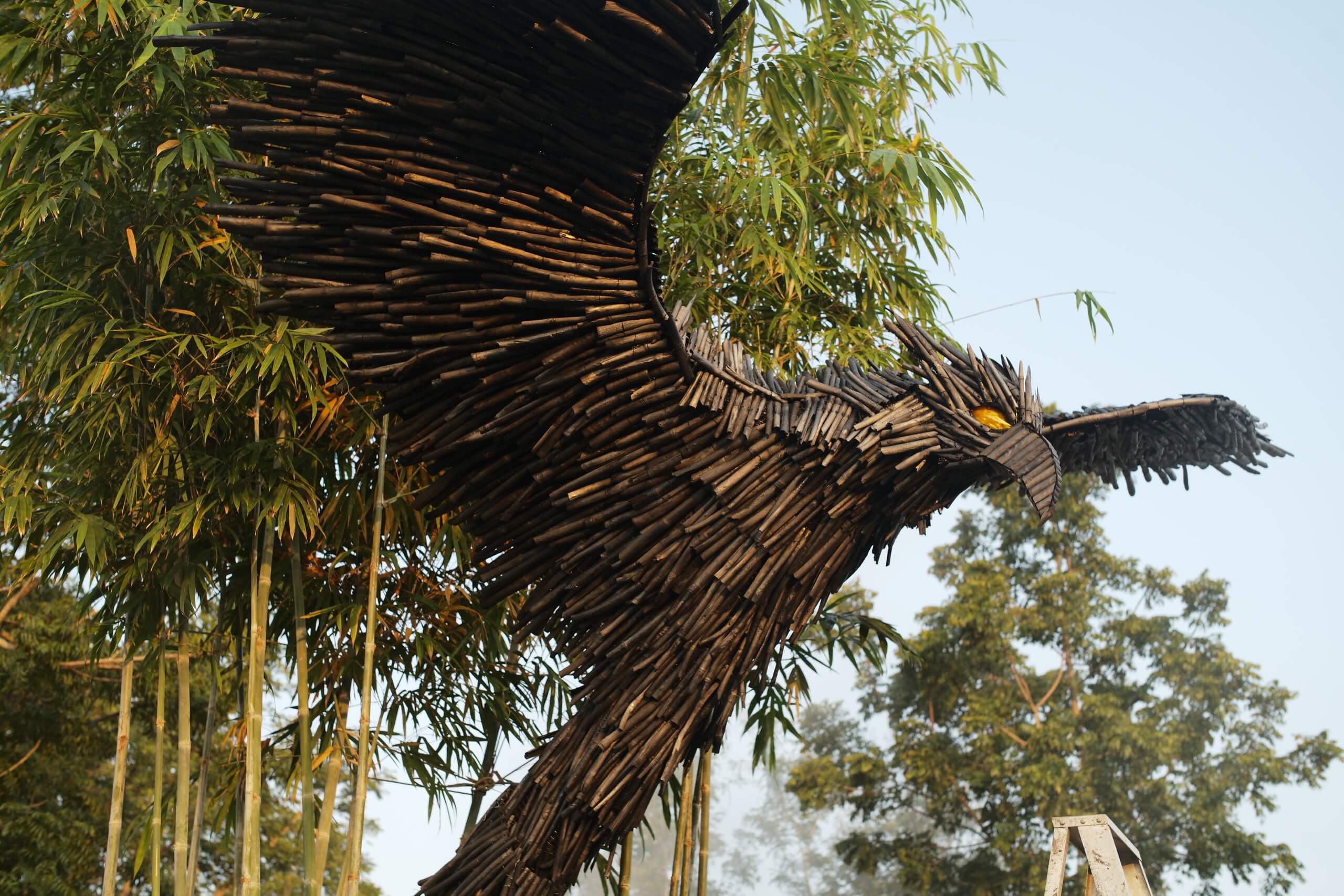 Biochar Phoenix