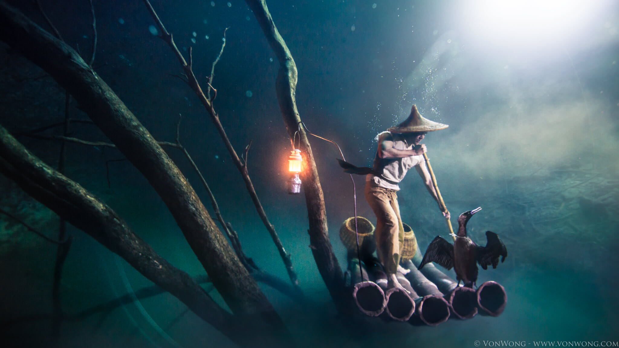 Underwater Cormorant Fisherman